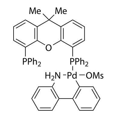 Pd Catalysts